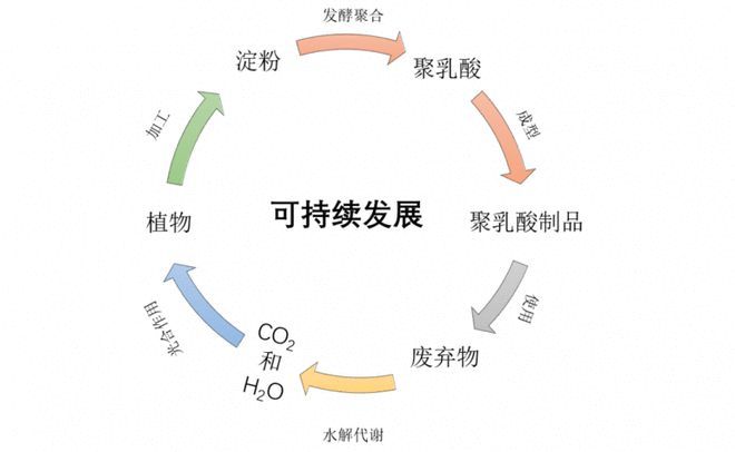 开元体育官网登录入口聚乳酸纤维-生态与时尚的完美融合(图5)